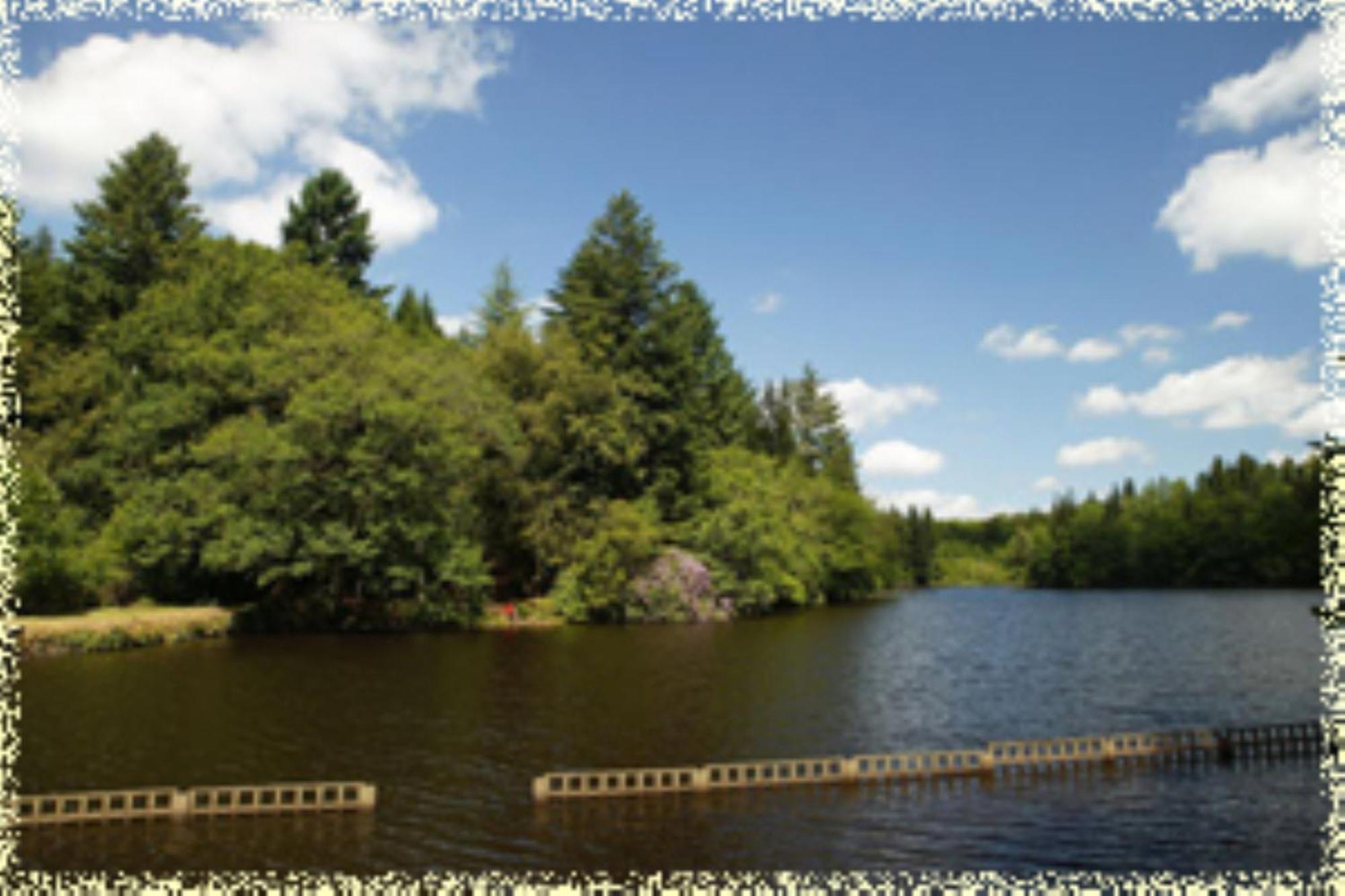 Hotellerie De Plein Air Camping Leychoisier Bonnac-la-Côte Eksteriør bilde