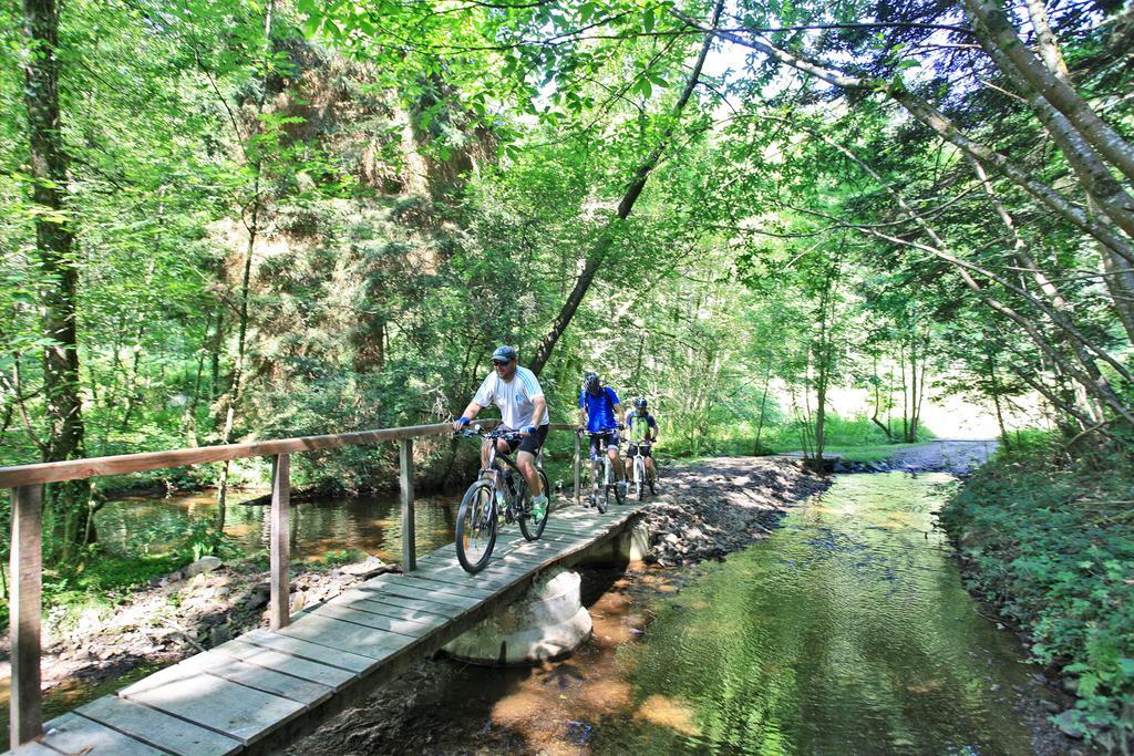 Hotellerie De Plein Air Camping Leychoisier Bonnac-la-Côte Eksteriør bilde